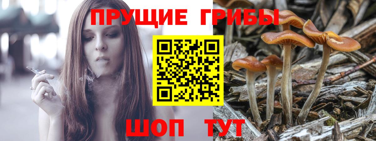 Надым  Галлюциногенные грибы мицелий  Вход с VPN 
